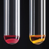 Candida albicans Test Kit