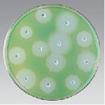 Susceptibility Disk