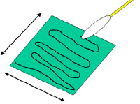 Swab Sanicult
