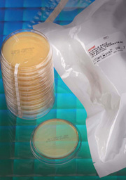 Isolator Wrap